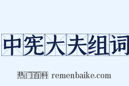 中宪大夫组词是什么意思的图片